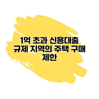 1억 초과 신용대출 규제 지역의 주택 구매 제한