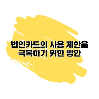 법인카드의 사용 제한을 극복하기 위한 방안