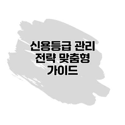 신용등급 관리 전략 맞춤형 가이드