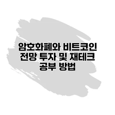 암호화폐와 비트코인 전망 투자 및 재테크 공부 방법